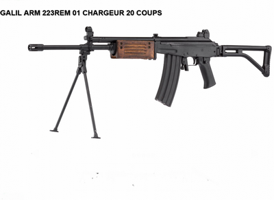 GALIL ARM 223 REM 20 Coups