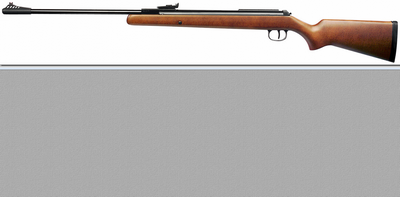 Carabine air comprimé Diana 34 Classic Professional calibre 4,5 mm