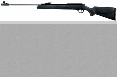 Carabine air comprimé Diana Panther 31 calibre 4,5 mm