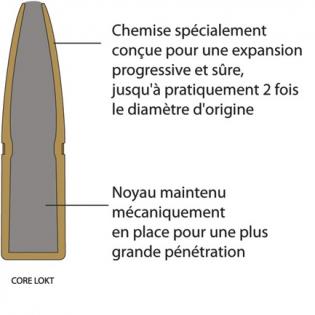 Munitions Cartouche Remington Ogive Core Lokt Psp calibre 444 Marlin Poids 240 grains