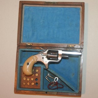 COLT NEW LINE 22