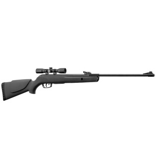 Gamo Big Cat 1000E noire - 4,5 mm 19.9 joules Carabine air comprimé 